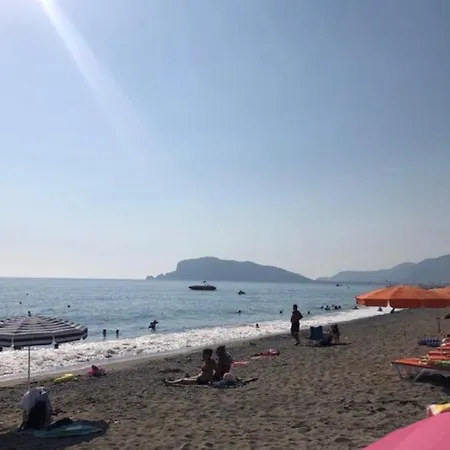 Apartment Holliday Residance Ninkar 2+1